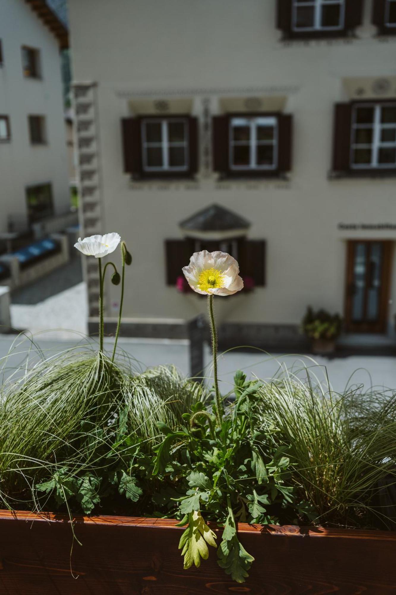Hotel Boutique Engadinerhof - A For Generations 2*